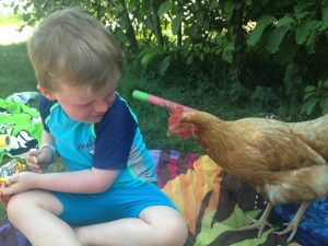 ontbijt camping de 3 akers