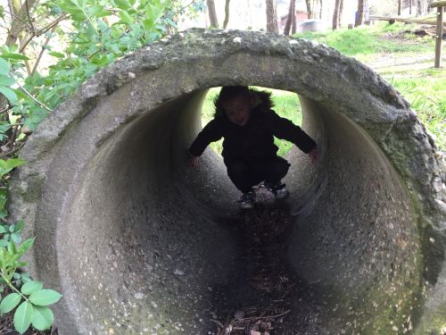 Natuurcamping de Lemeler Esch ervaring 09