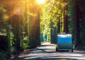 Kampeertrends caravan in bos ondergaande zon
