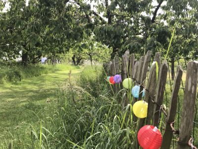 camping in het fruit
