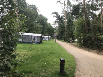 Eekhoorns zijn ook op de camping