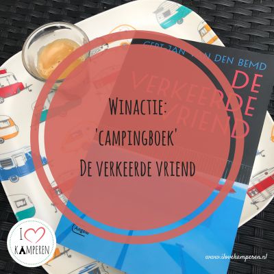 Boek de verkeerde vriend