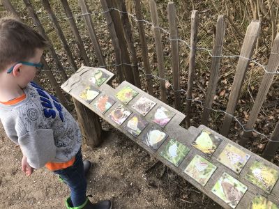 camping geversduin ervaring