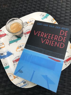 Verkeerde vriend boek