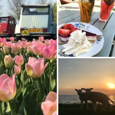 Ervaringen op camping rietveen