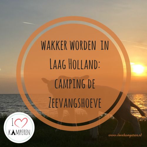 boerencamping edam