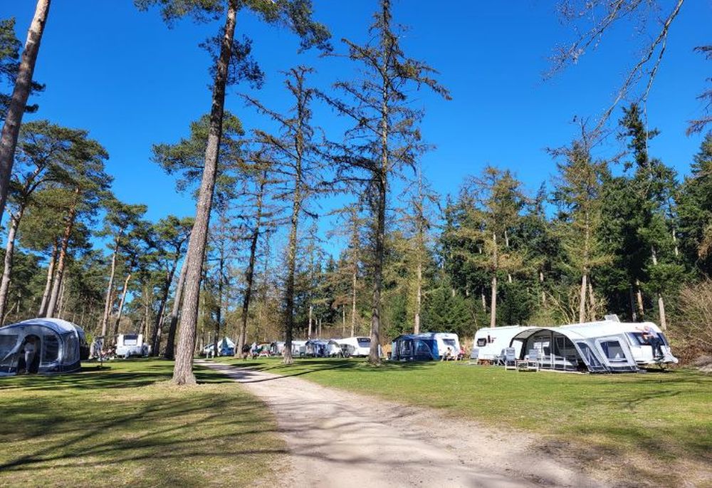 Camping in bos in nederland blauwe lucht