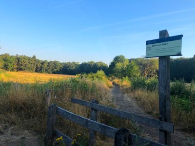 wandelen achterhoek