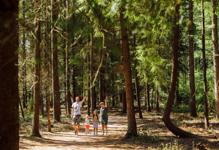 jagerstee veluwe