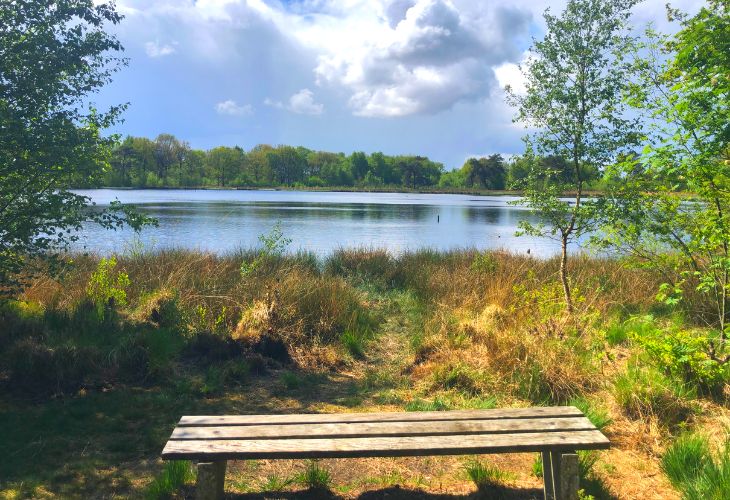 Camping Witterzomer review