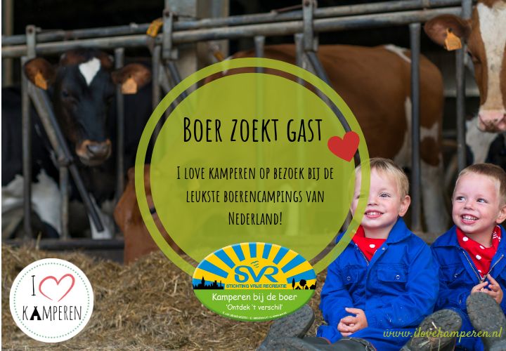 boer zoekt gast svr