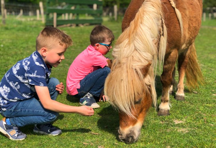 svr camping gortmeule limburg ervaring