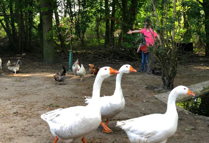 svr camping gortmeule limburg ervaring