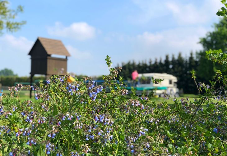 svr camping gortmeule limburg ervaring
