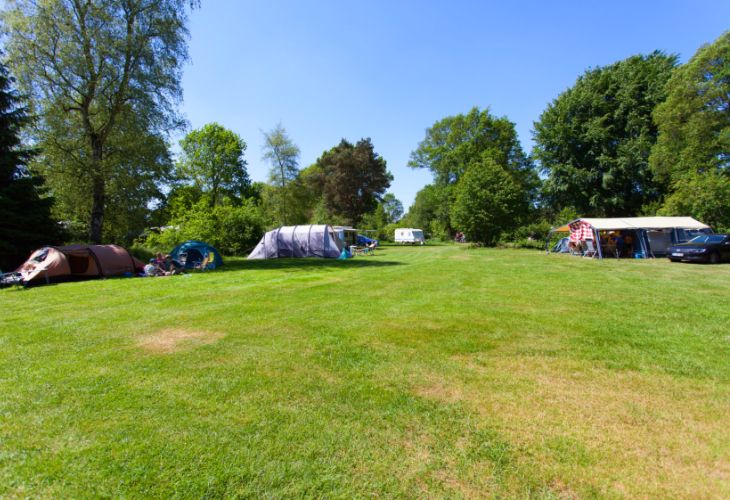 witterzomer assen ervaring