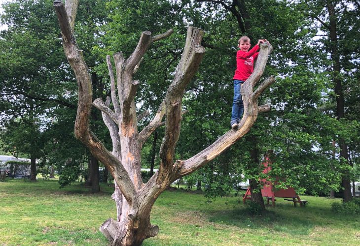 speelbos camping de achterste hoef