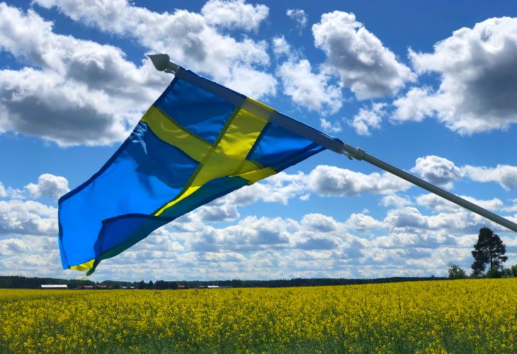 Zweedse vlag