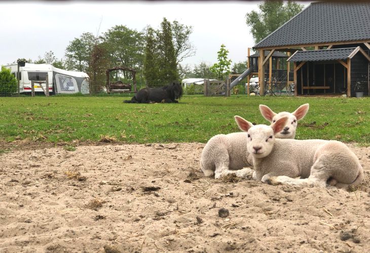 boerencamping veluwe