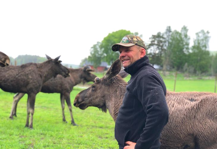 leffe moose man gardsjo elanden
