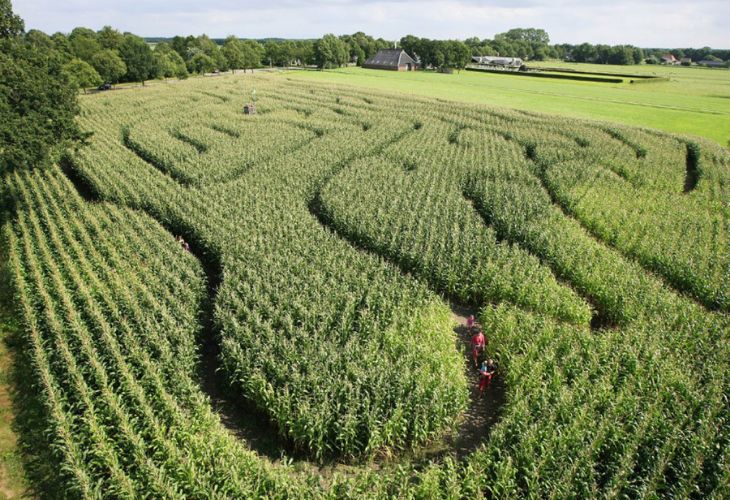 elf ieken minicamping friesland