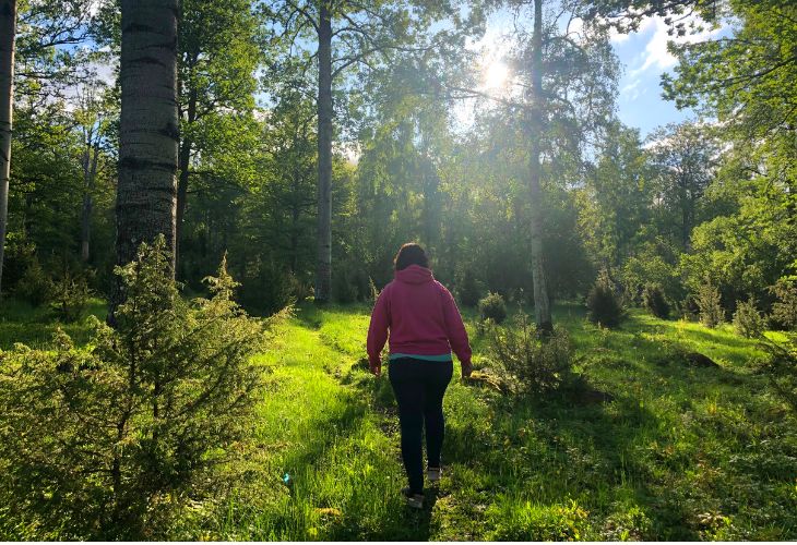 kindercamping zuid zweden