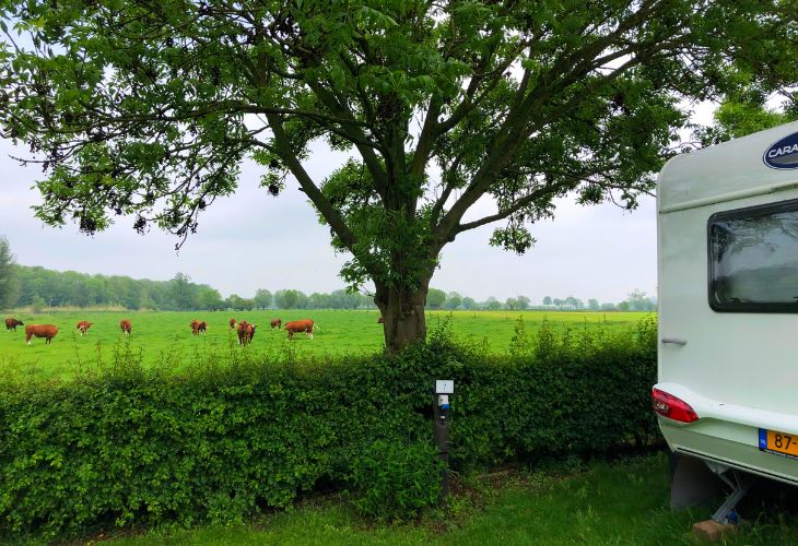 boerencamping de adelaar
