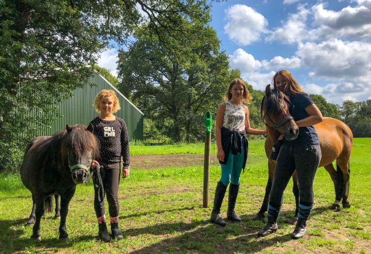 boerencamping met pony