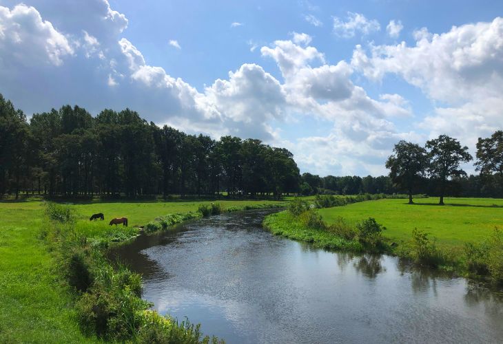 camping de grimberghoeve ervaring