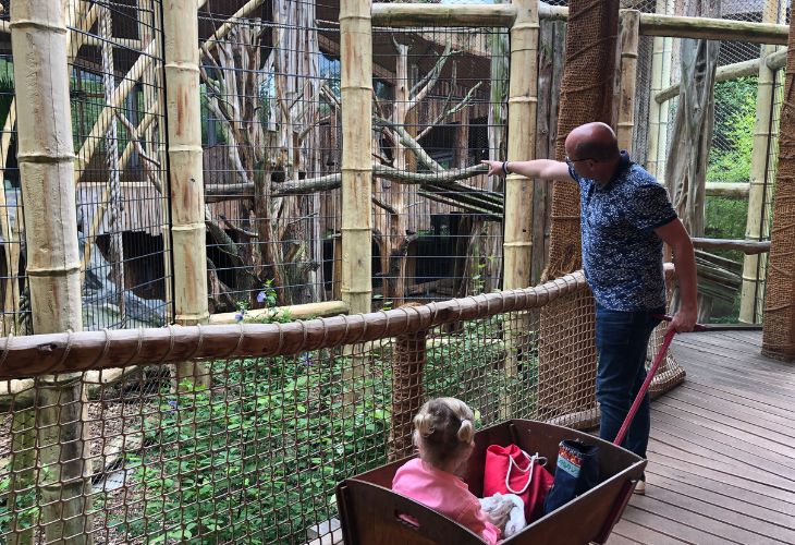 saksen anhalt met kinderen