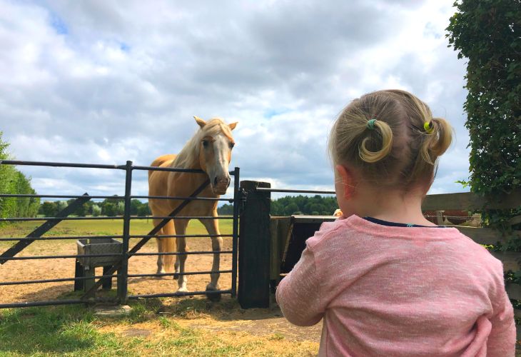 Kamperen bij de boer Meisje bij pony op camping