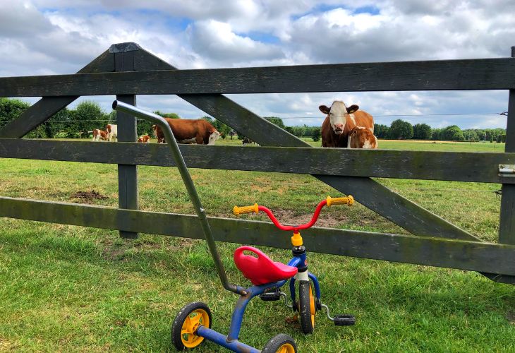svr camping voor kinderen