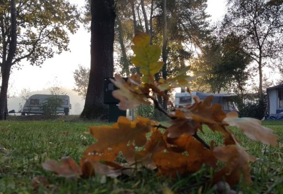 Kamperen herfst vakantie blaadjes bos zon ochtend zonsopkomst