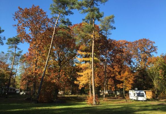 Kamperen herfst vakantie caravan tent herfstkleuren bomen bos camping
