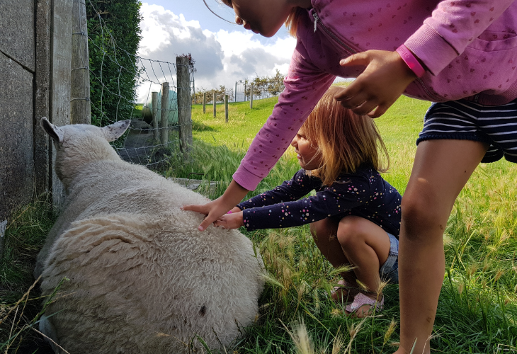 kinderen boerencamping dieren aaien